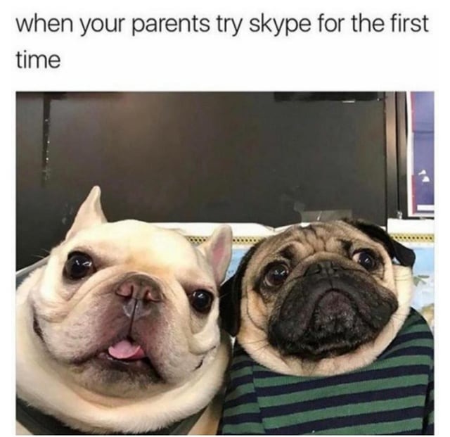 wholesome parents videocall - meme