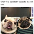 wholesome parents videocall