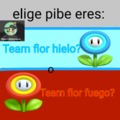 team flor hielo? o team flor fuego?