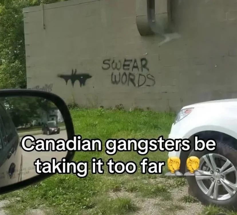 Canadian gangsters out here acting like GTA characters - meme