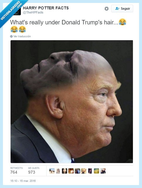 ¿Que hay bajo el pelo de Donald Trump? - meme