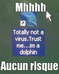Qui ne peut pas croire un dauphin ? - meme