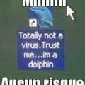 Qui ne peut pas croire un dauphin ?