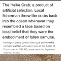 Most badass crabs