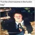 Put the bag downs!