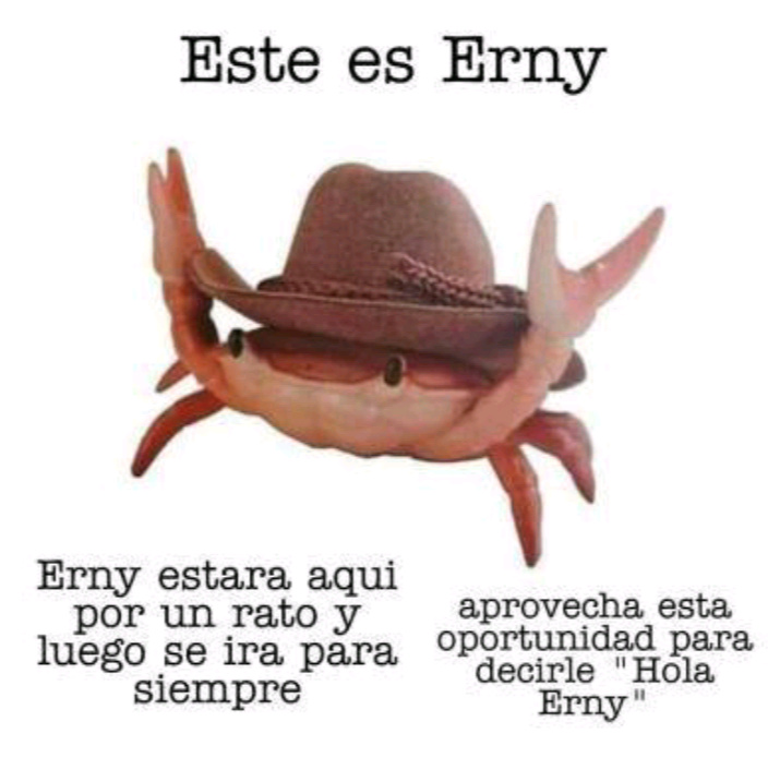 Ola Erny - meme