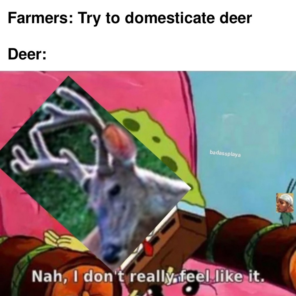 And that's why we hunt them - meme