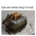 Get toasted, you rascally rabbit