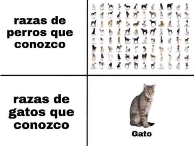 nombren 10 razas de gatos - meme