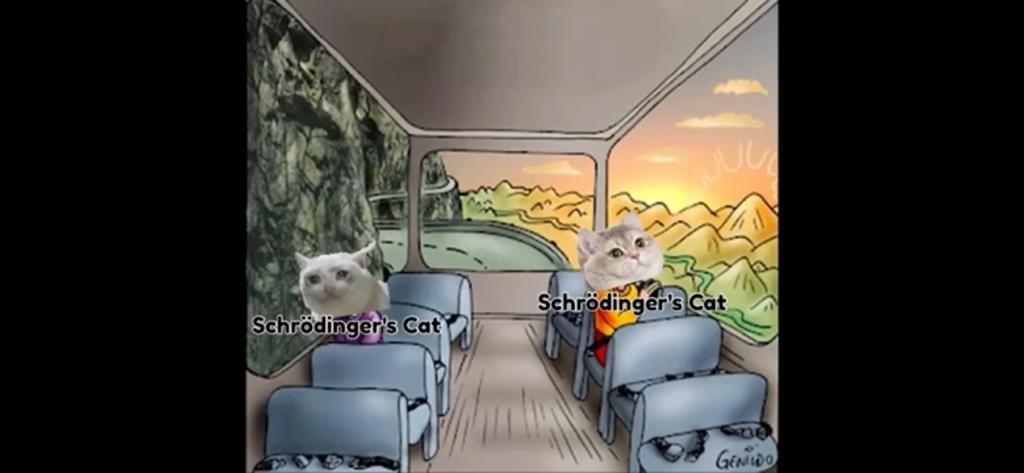 Schrodingers cat - meme