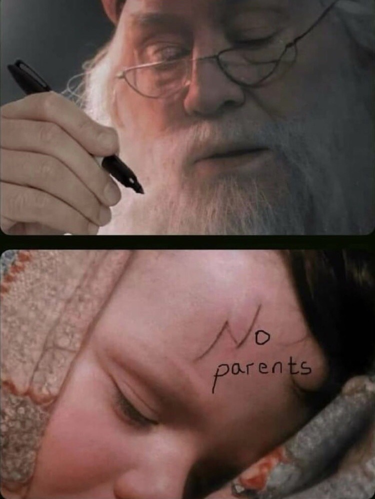 no parents - meme