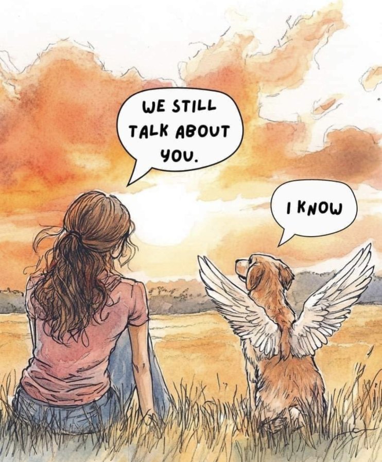 not my meme, the feels