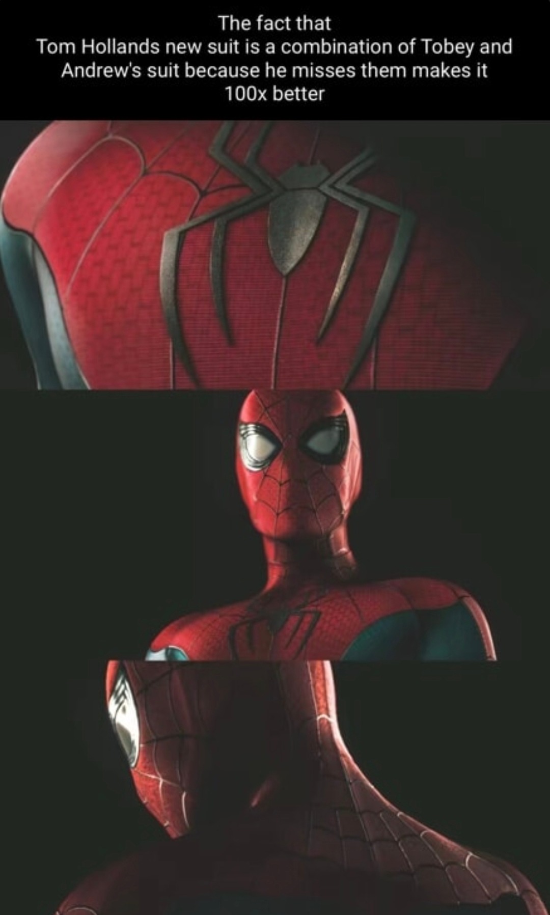 Tom Holland misses his multiverse bros - meme