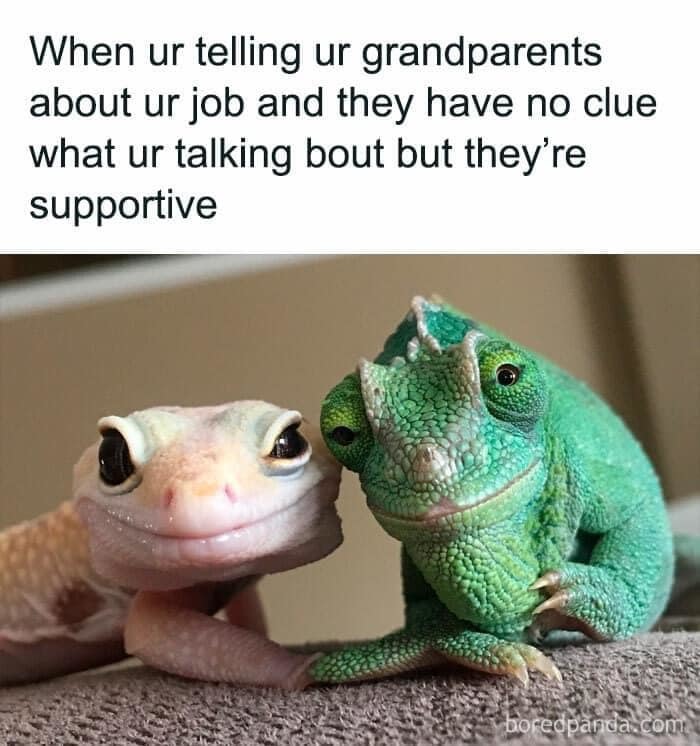 Supportive Grandparents - meme