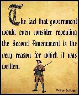 NEVER RELINQUISH YOUR GUNS - meme