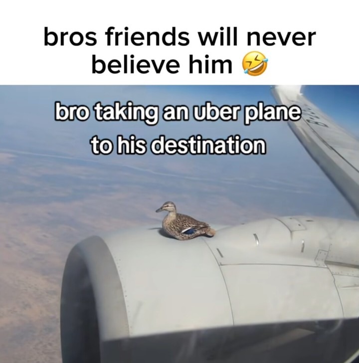 Along for the ride - meme
