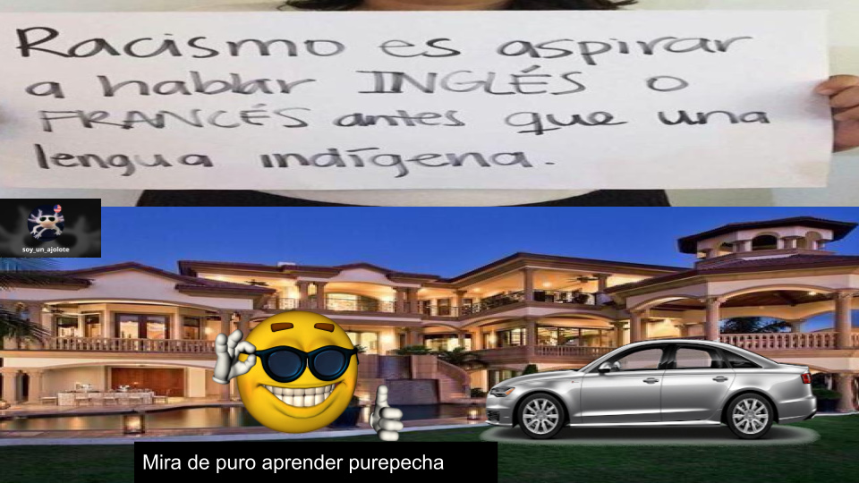 purepecha:un idioma nativo del estado de michoacan en mexico - meme