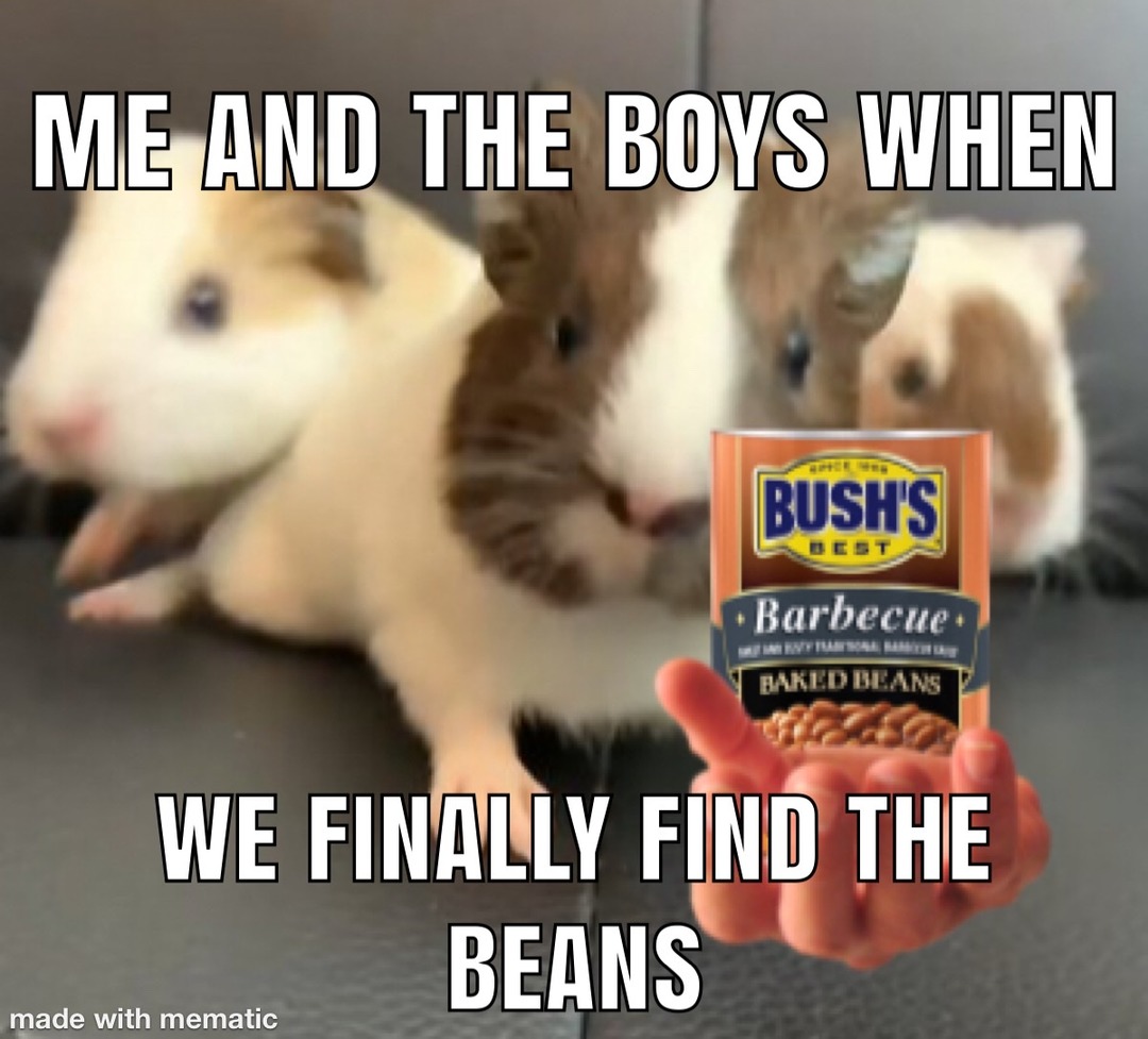 the beans!!!! - meme