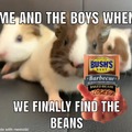the beans!!!!