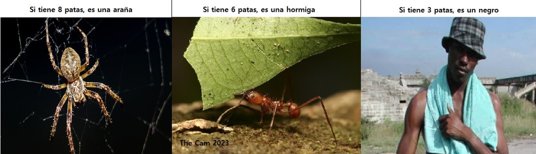 :v no lo digo yo lo dice la 100cia xd - meme