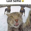 Selfie of the year and last