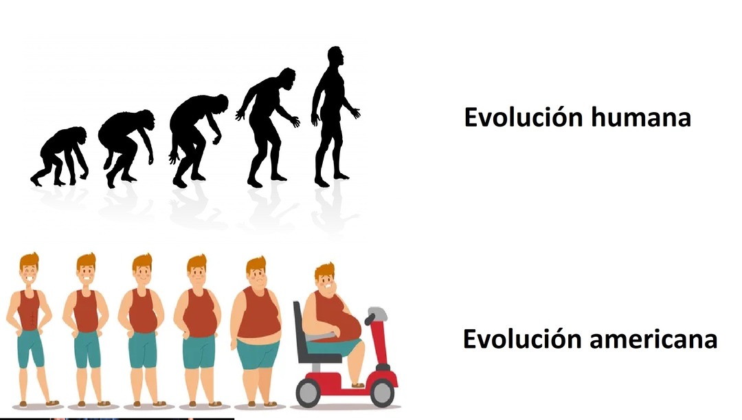 Evolución - meme