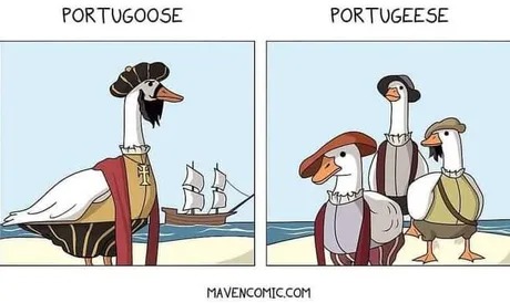 Portugeese - meme