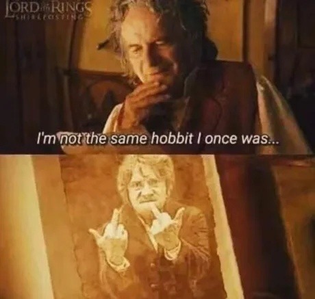 I'm not the same hobbit I once was, bro - meme