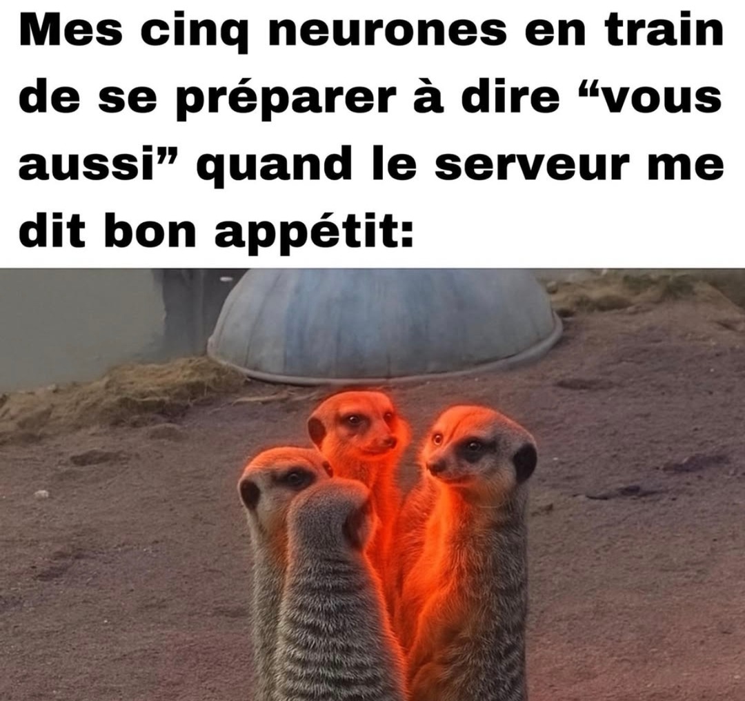 Mes cinq neurones prêts à balancer ‘vous aussi’ quand le serveur me dit bon appétit - meme