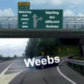 Weebs Are Weird