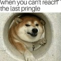 I need the last Pringle!