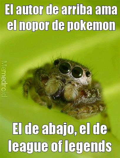 Y el que le dé negativo a esto, ama el nopor de lolis - meme