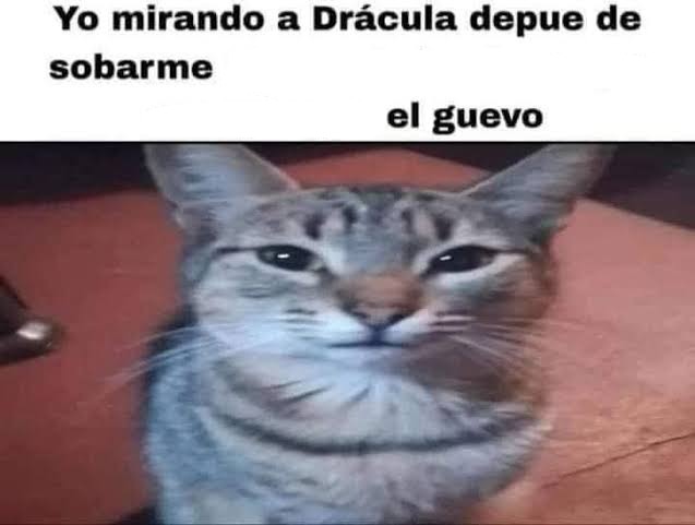 yo - meme