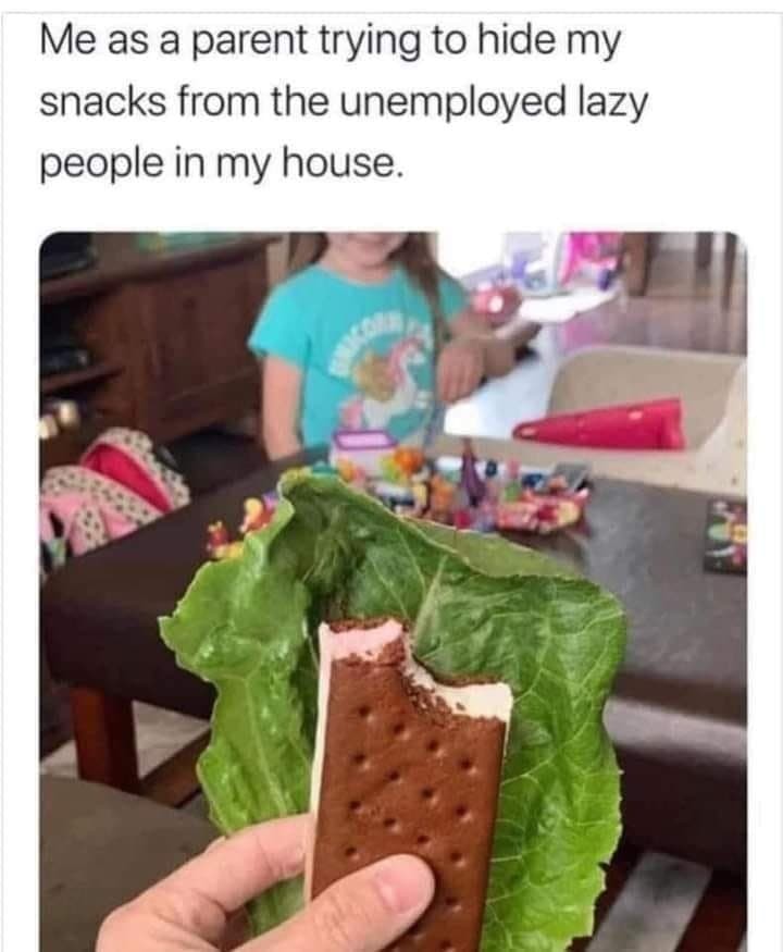 Unemployed lazy people - meme