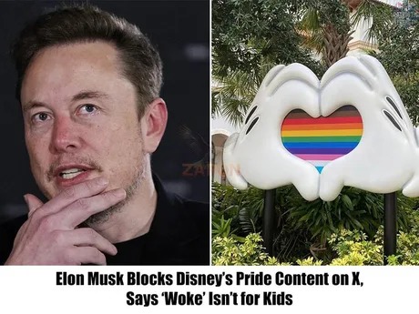 Elon Musk blocks Disney's pride content on X, says woke isn't for kids - meme
