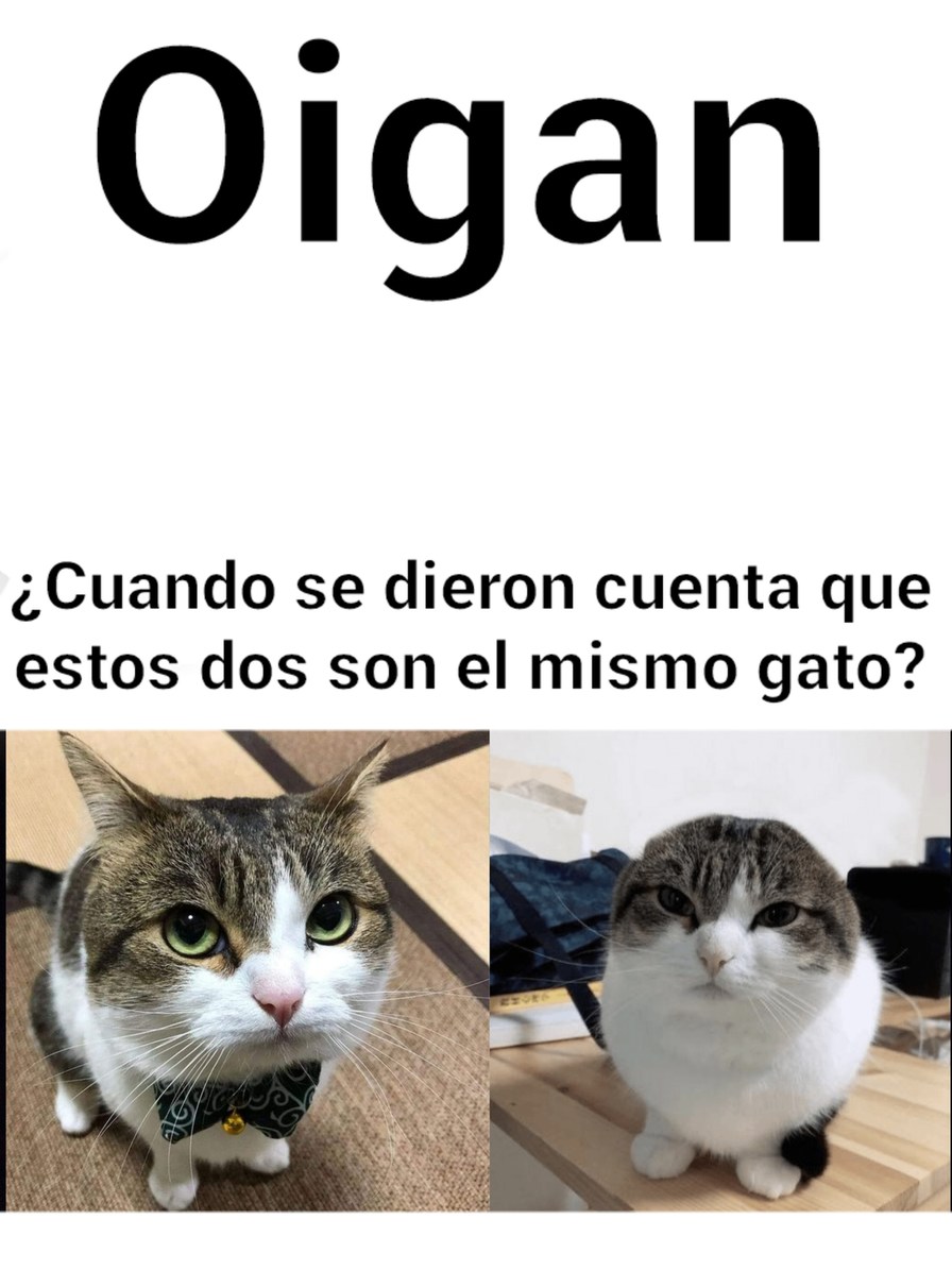 """""Meme""""  para que no se quemen mis ultimas neuronas