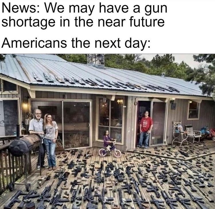 that’s a lot of guns - meme