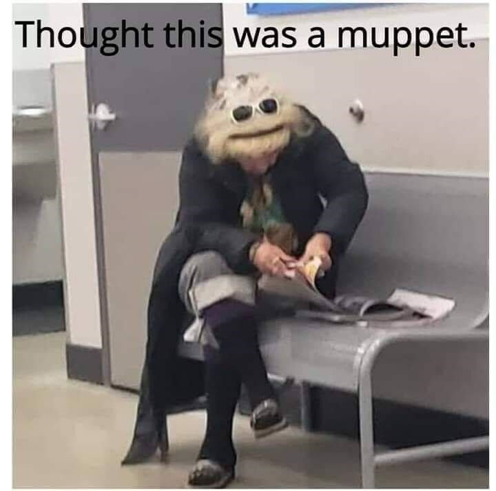Muppet - meme