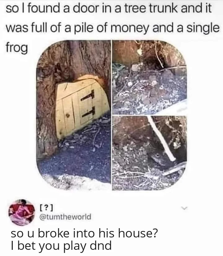I bet you play dnd - meme