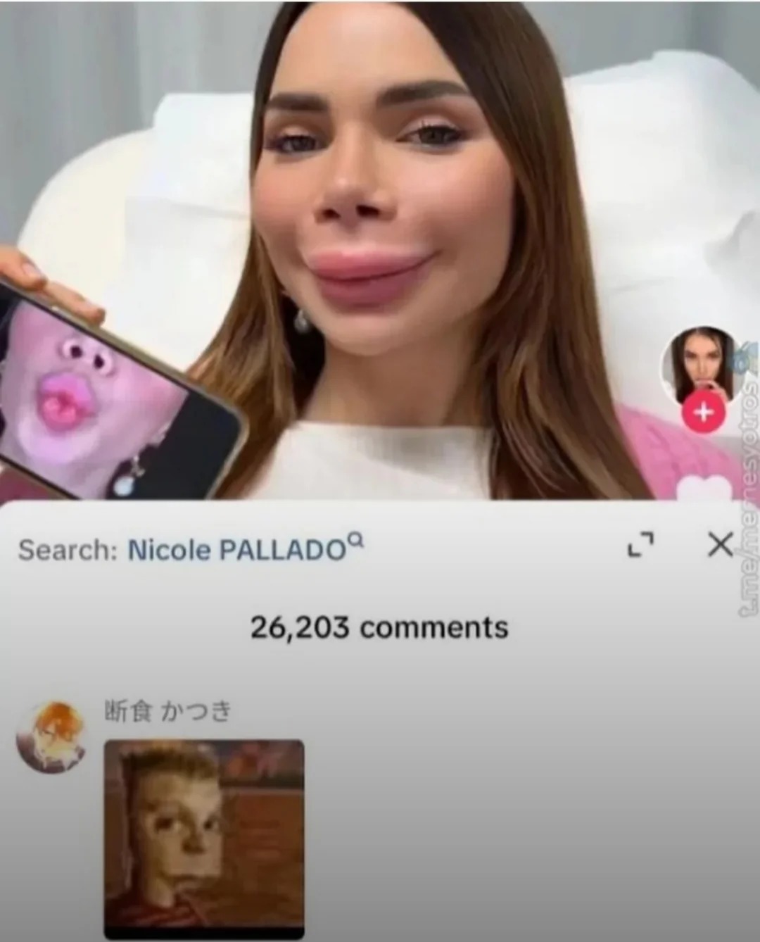 barsinso - meme
