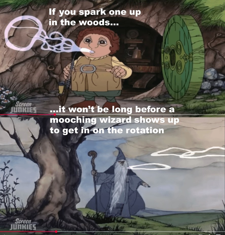 When you spark one up in the woods and a wizard shows up like ‘I’m next in line!’ - meme