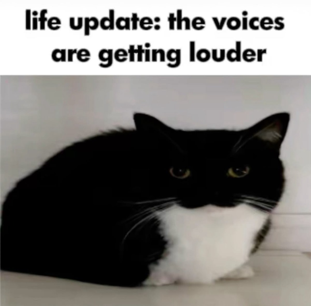 YVAGL - meme