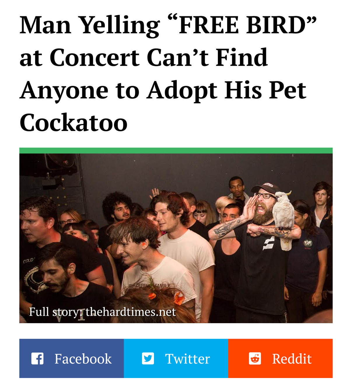 Give someone the bird - meme