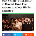 Give someone the bird