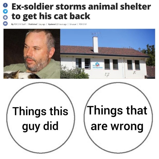 Ex-soldier storms animal shelter to get his cat back - meme