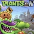 Plantas Vs Nigg…