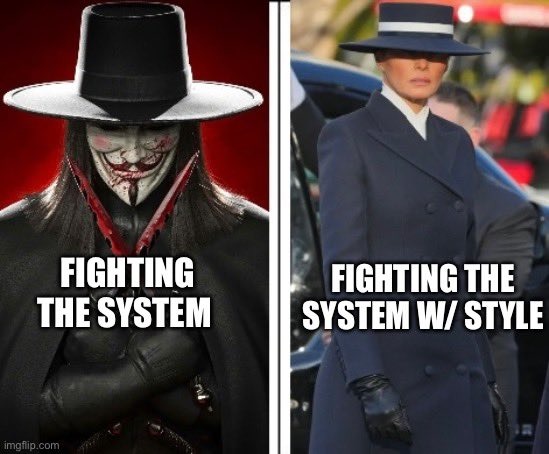 Fighting the system with style - meme