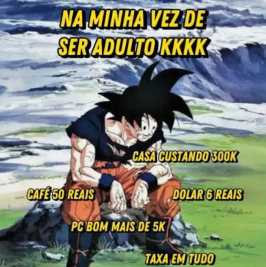 Vida adulta - meme