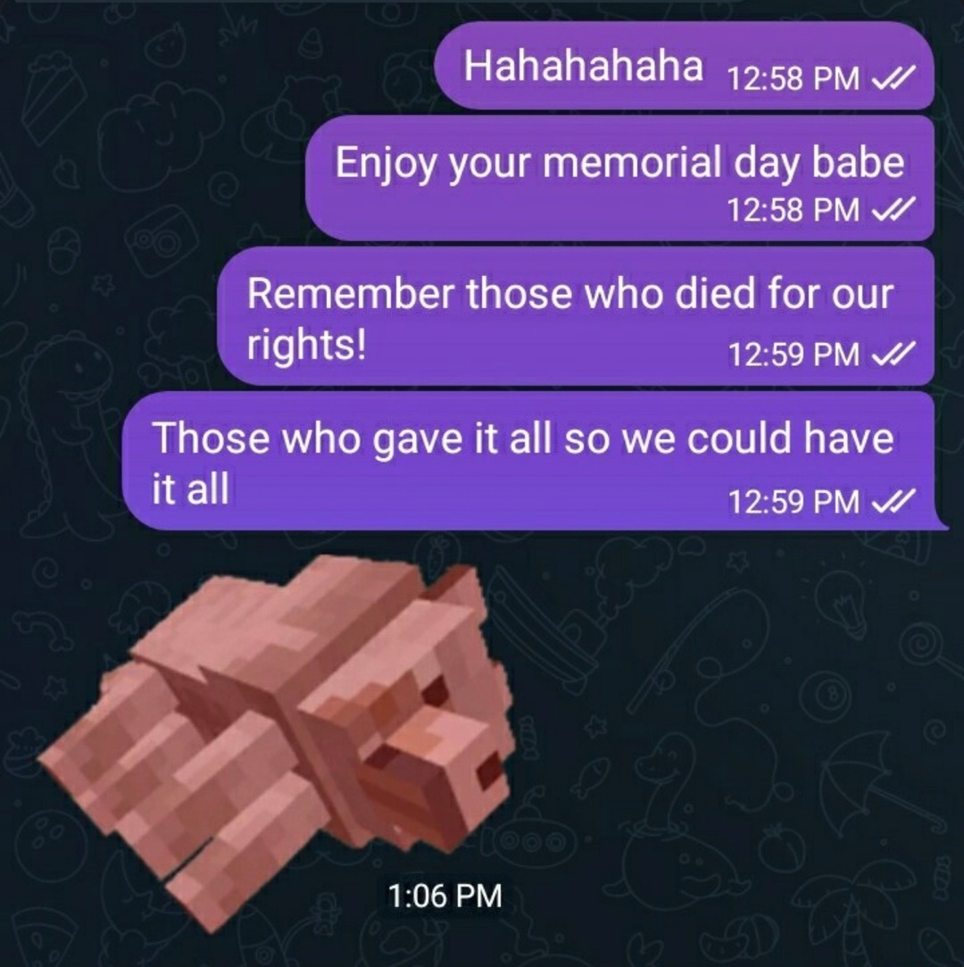 enjoy your memorial babe. remember the fallen. - meme