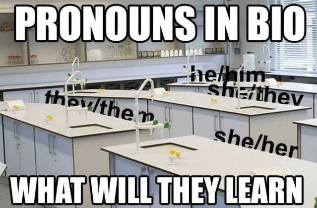 Pronouns in bio - meme